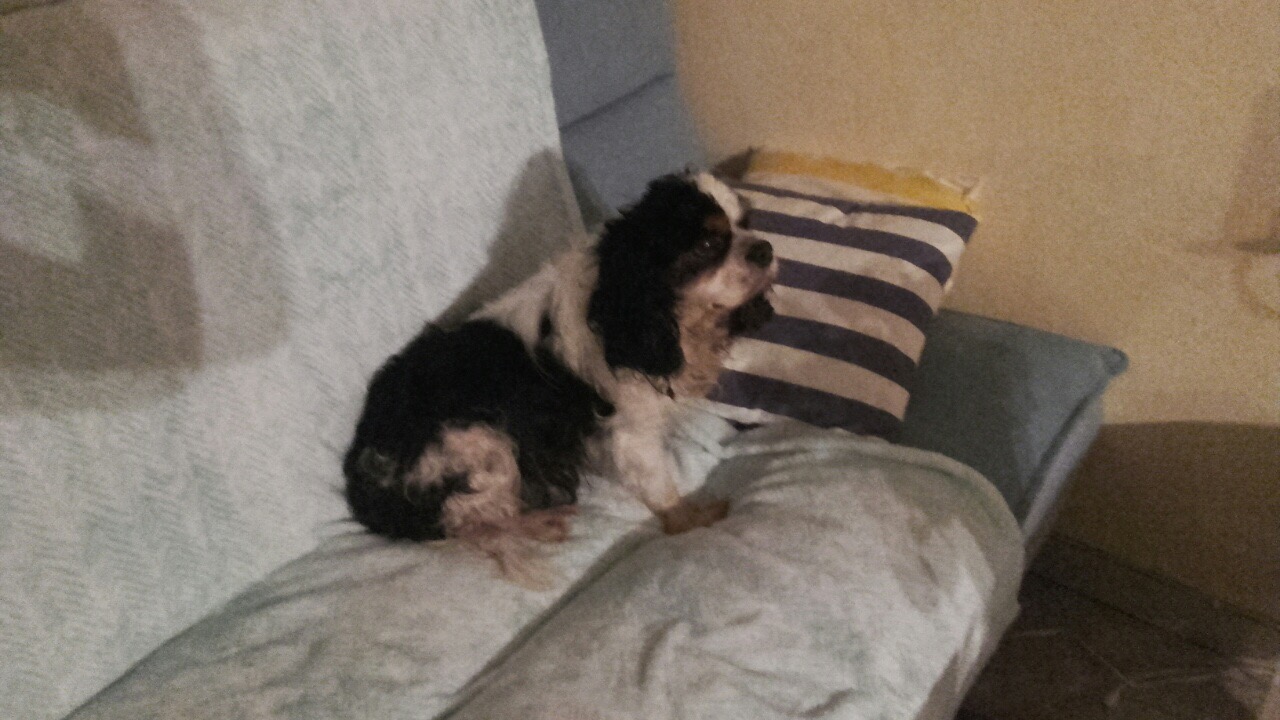 12B879B2-90D7-4334-BAD4-01365824EDDF