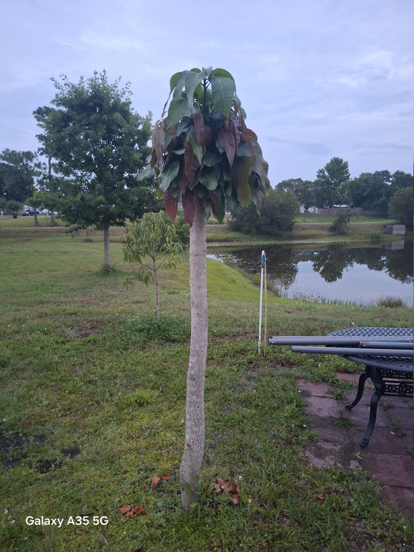 20260511 201047