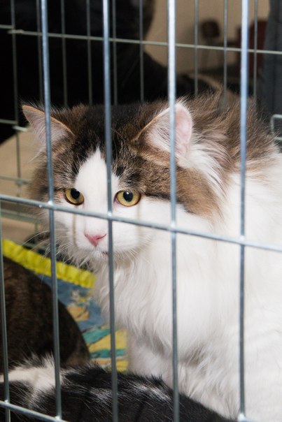 B8BD7306-D110-4F3C-A600-273A14B17991