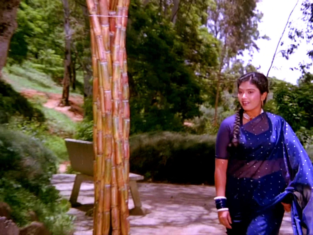 vlcsnap-2022-08-13-20h56m48s116