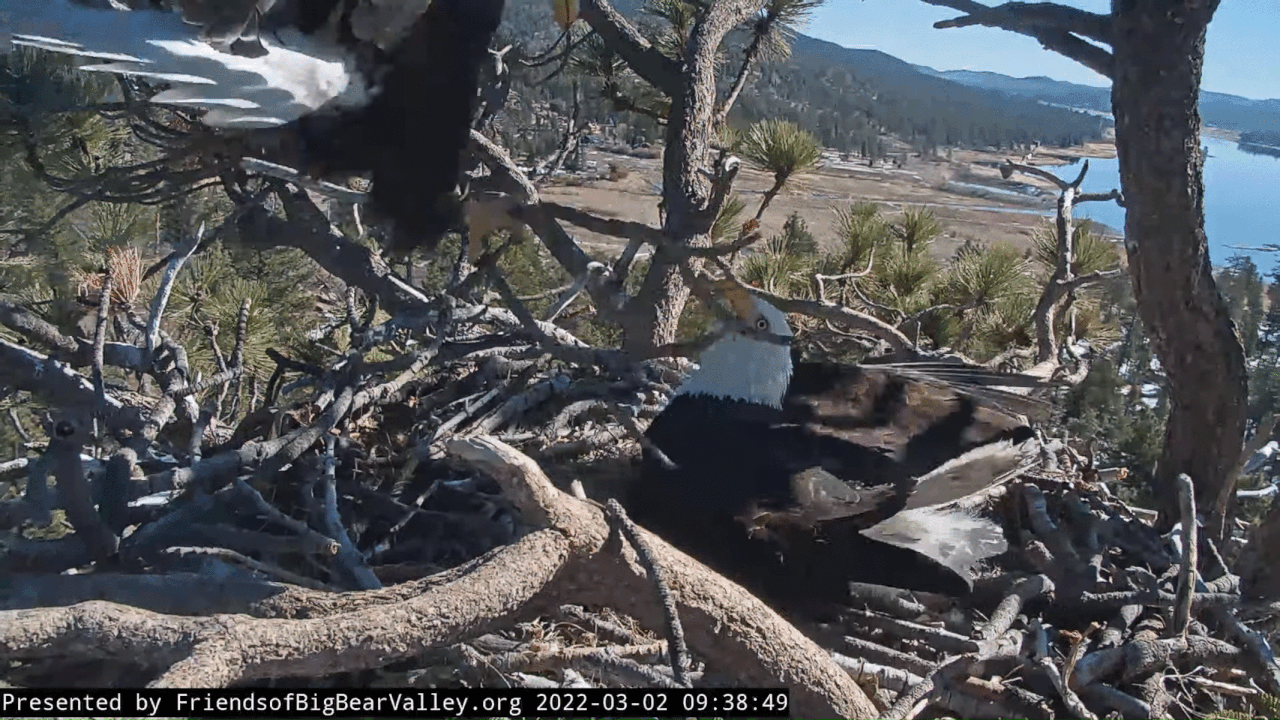 Webp.net-gifmaker (5)