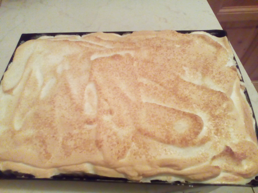 IMG_20210124_163930[1]