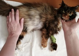 95739FEC-F692-4D6C-9AB3-6F7C0C744DCE