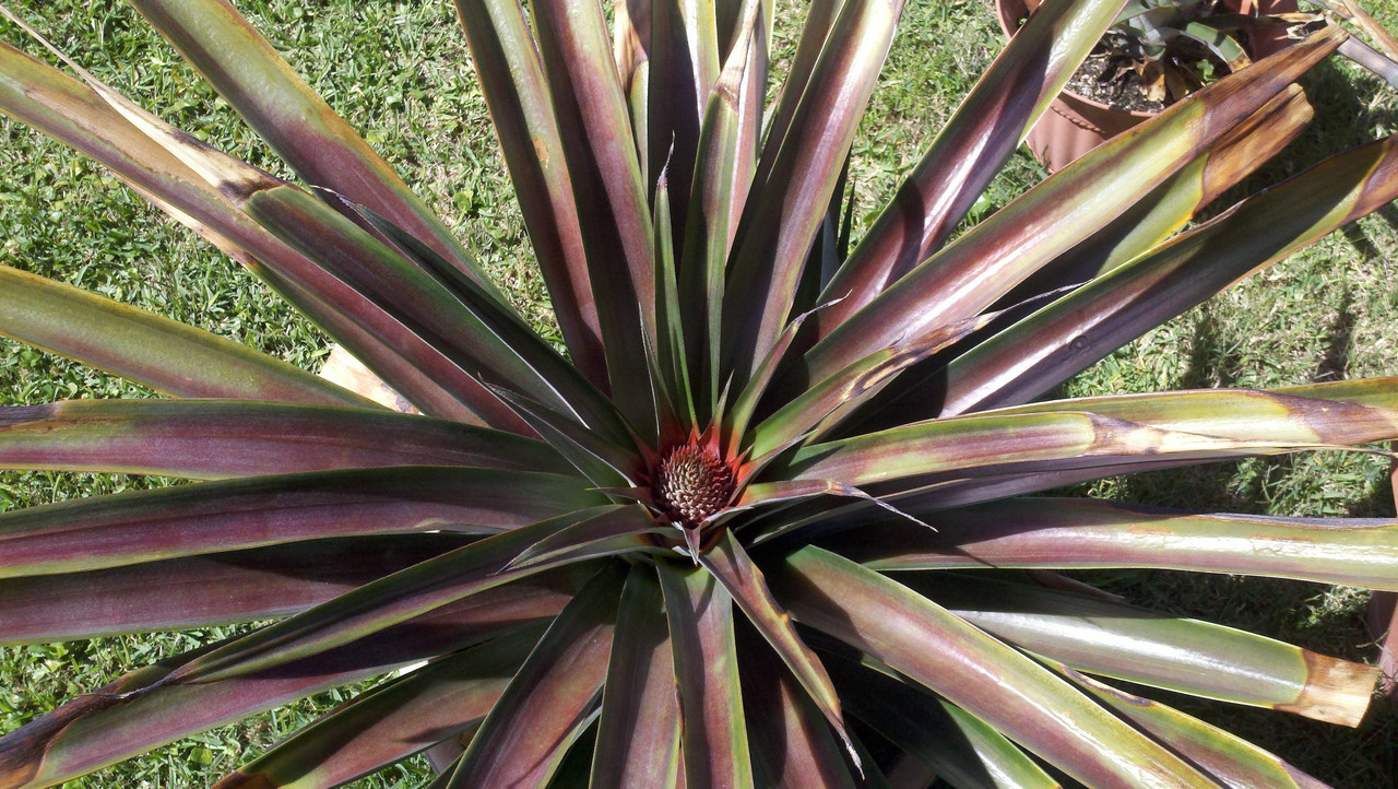 2013-04-13_10-51-26_930