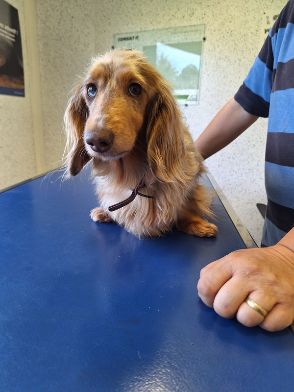 [Image: 20240412-155651.jpg]