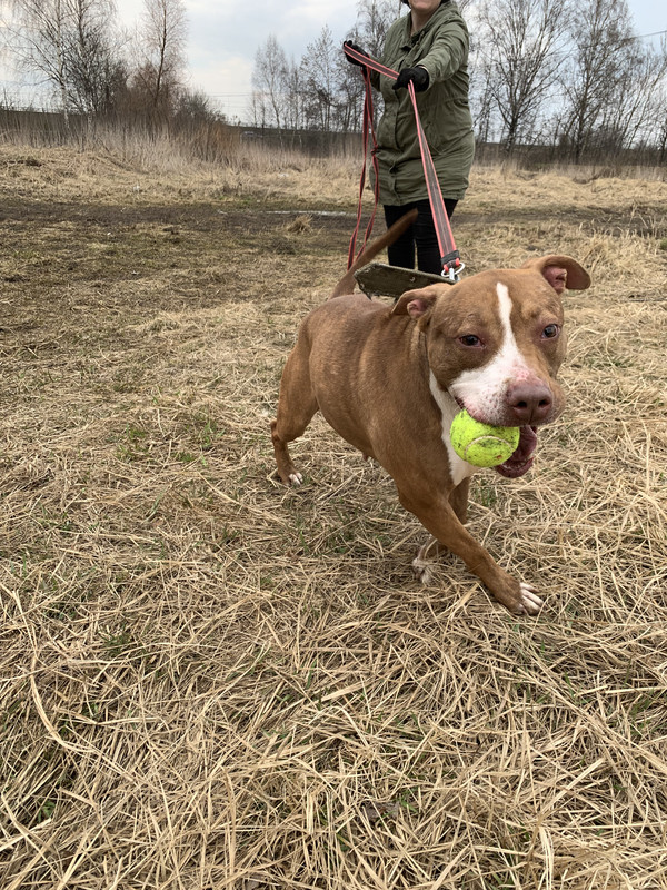 image-09-04-23-05-38-3 (1)