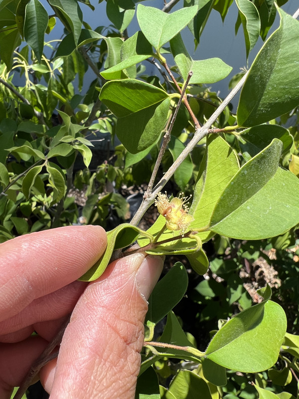 112E57A0-26C3-4E81-AEAE-99D4E8F305BE