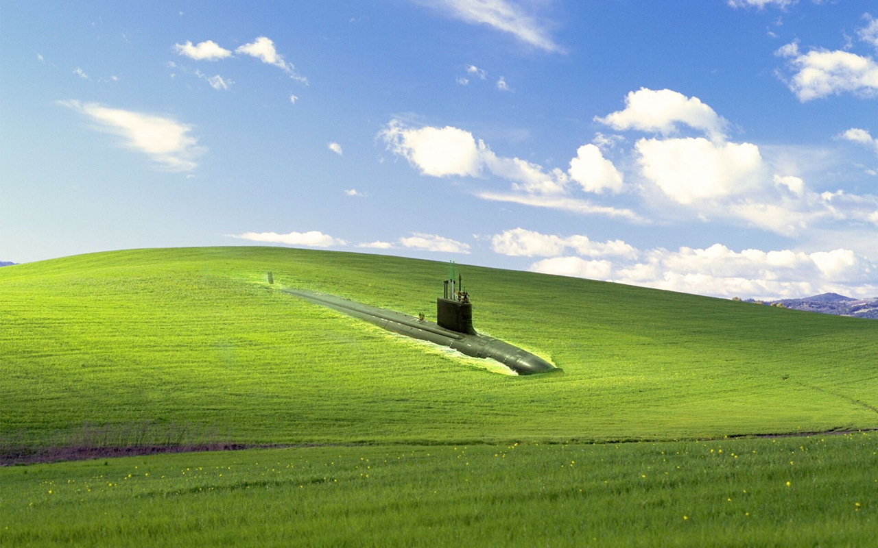 Image de l'oeuvre