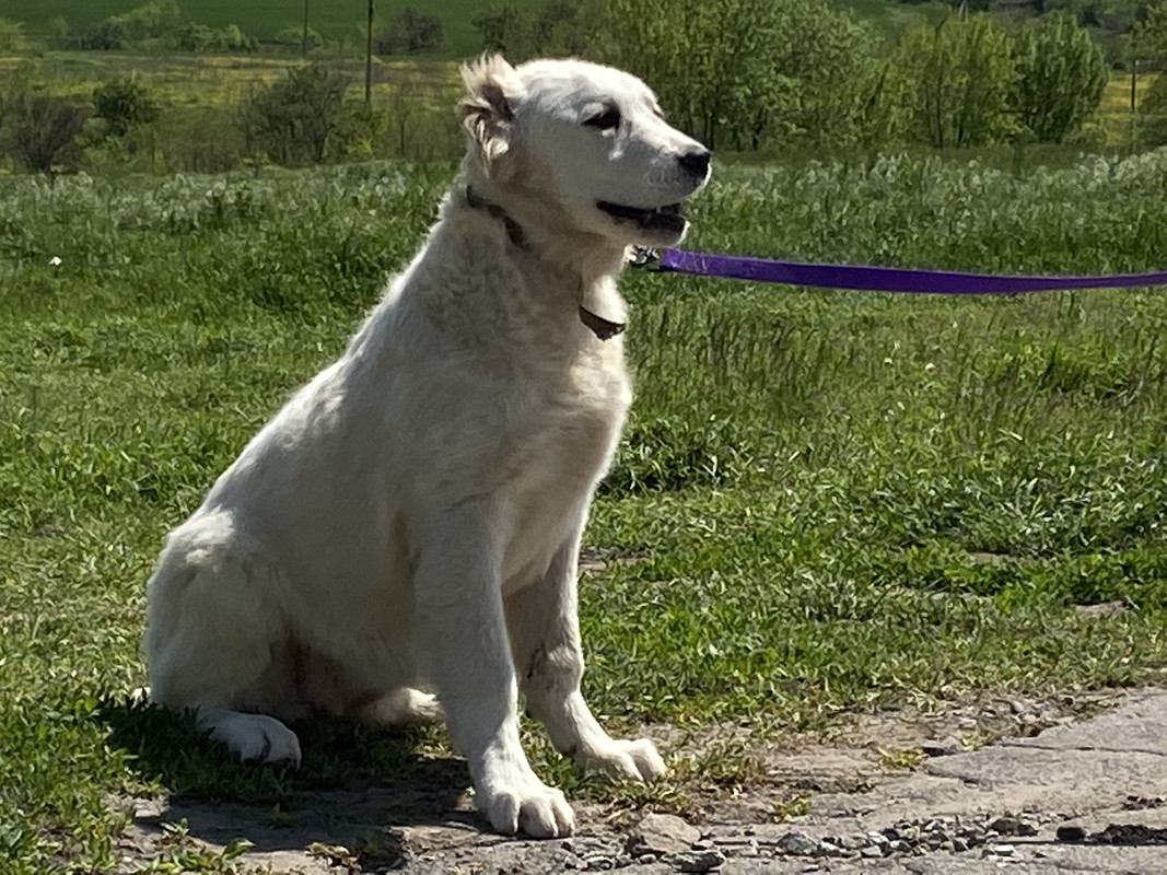 F929306D-5161-44B5-92AC-5ADDBC9D0EDD