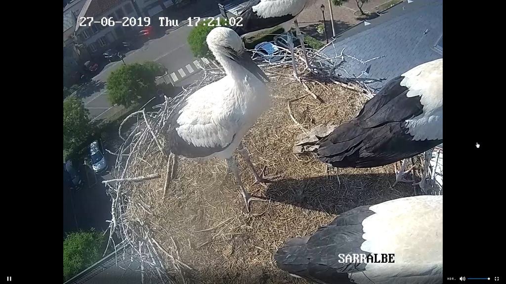 2019-06-27 17_20_21-Greenshot