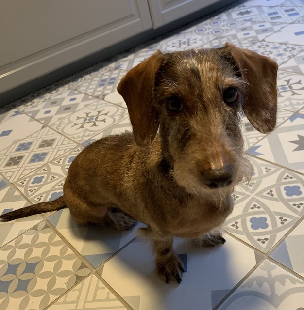 [Image: C5-F61496-24-C5-4-EC8-AECF-235-A71-C7-BCFB.jpg]