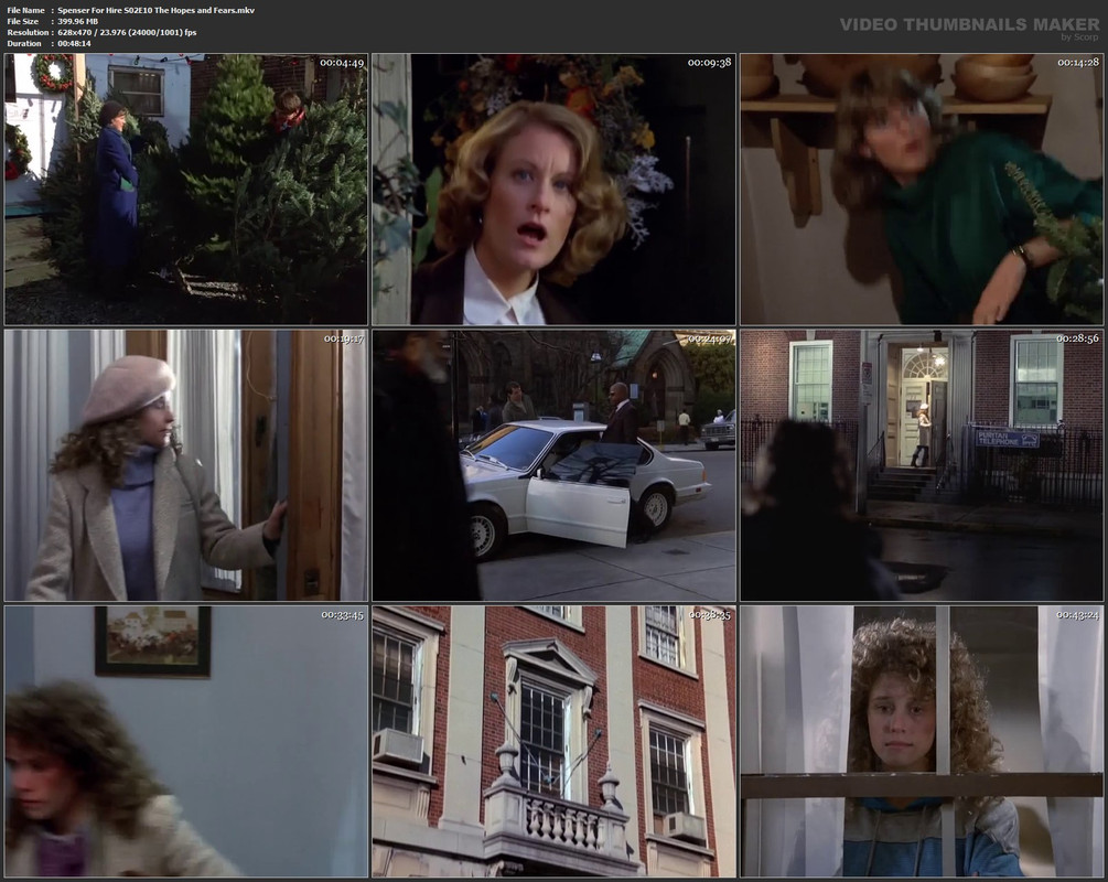 Spenser For Hire S02E10 The Hopes and Fears.mkv
