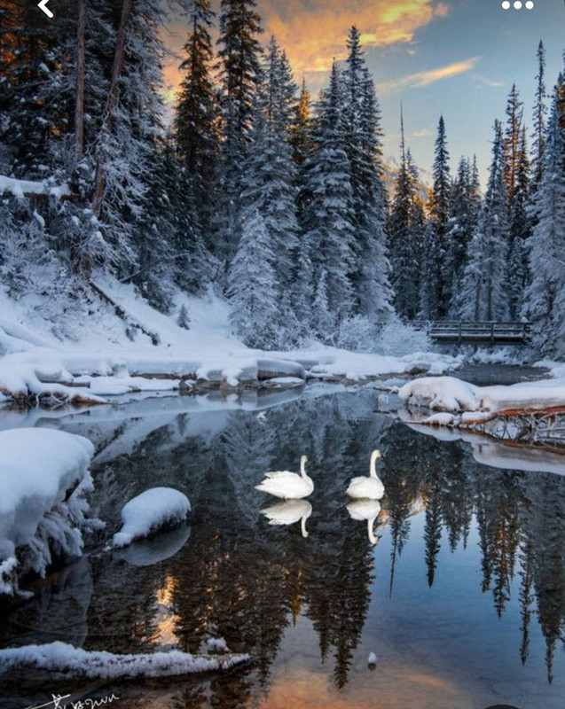 Screenshot_20240119_222210_Pinterest