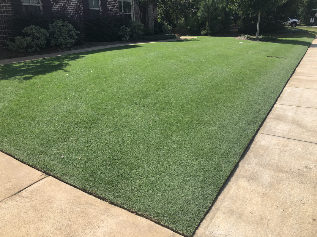 CEED6CB5-55C0-452B-9BFF-490A6DE19581