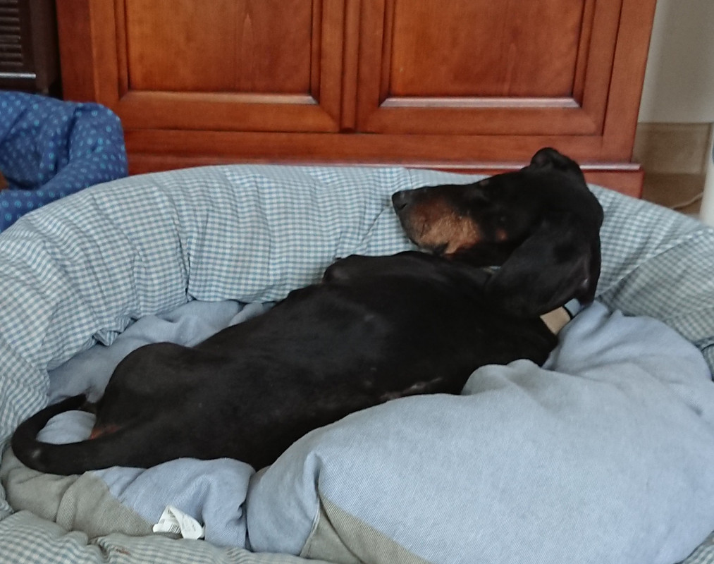 [Image: 20220626-190441.jpg]