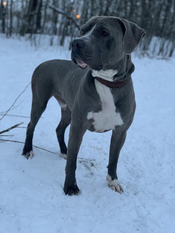 A40FADBB-282D-4C23-B5AE-03A48F3F387F