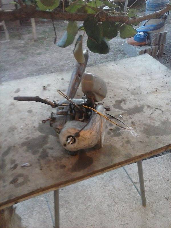 11276_307675269412704_199108835842611913_n