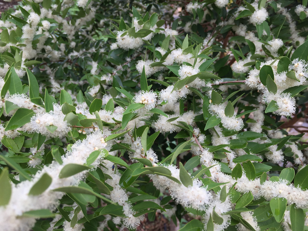 D4E2C02F-7441-48C0-A779-C12DC0B62A11