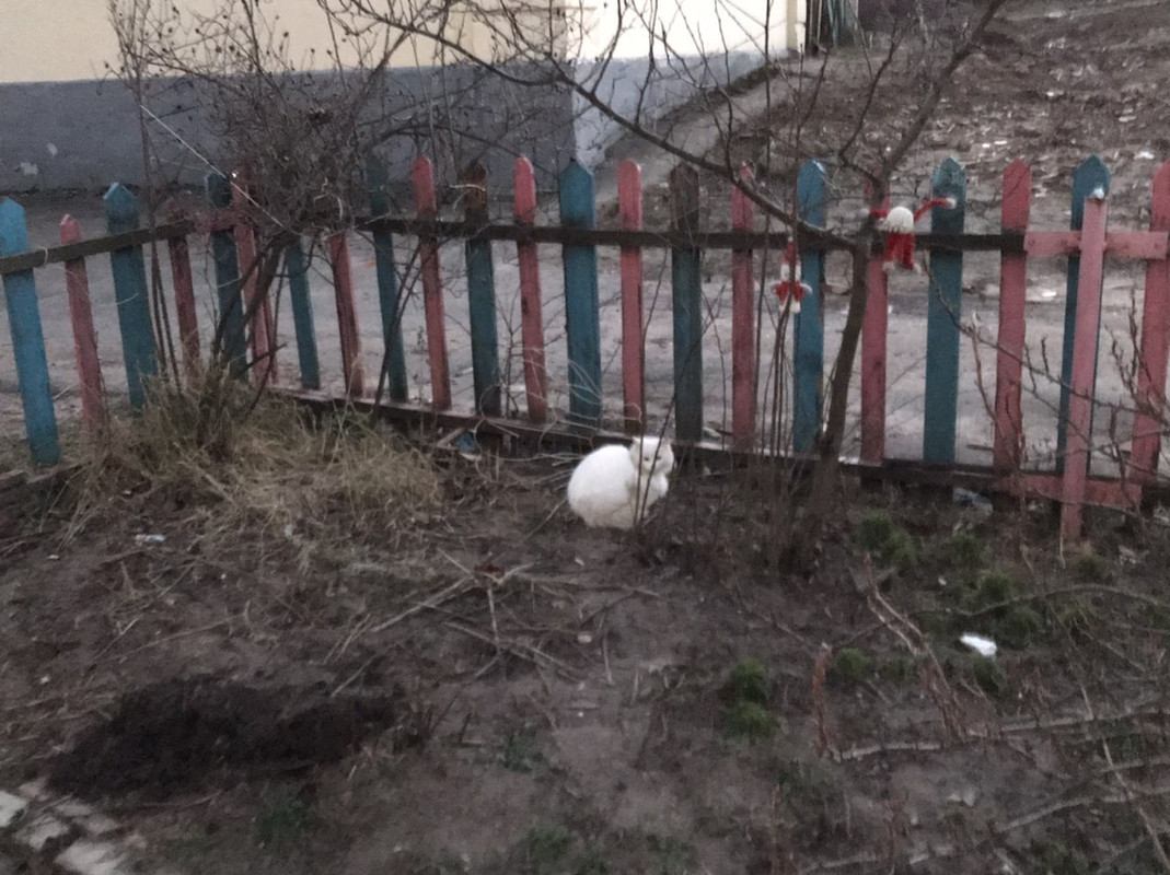 FEC3893E-8264-4F86-B114-11333B575A23