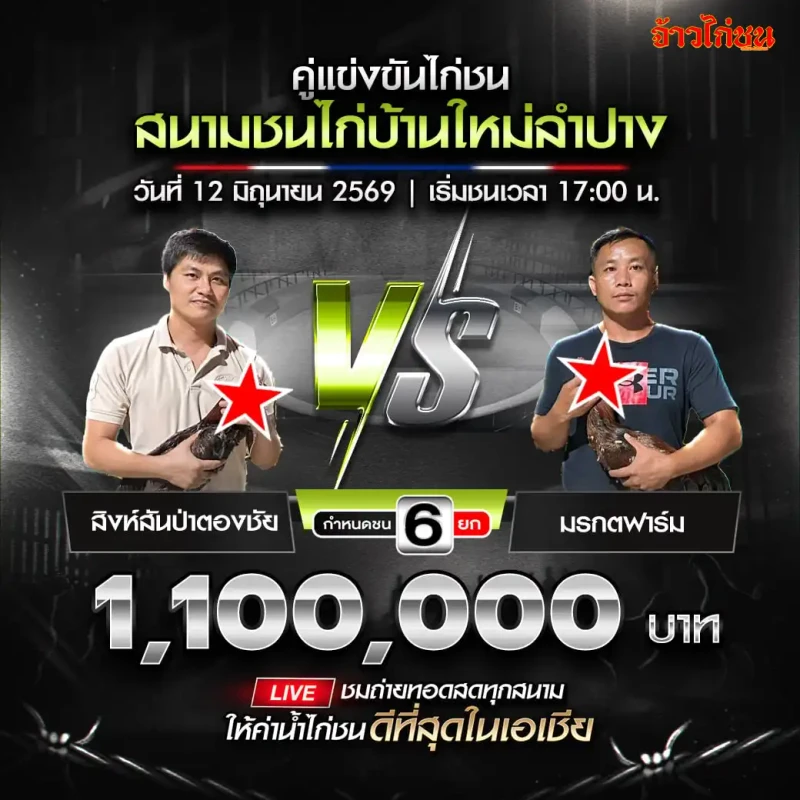 สิงห์สันป่าตองชัย vs มรกตฟาร์ม สนามชนไก่บ้านใหม่ลำปาง 12 มิถุนายน 2569
