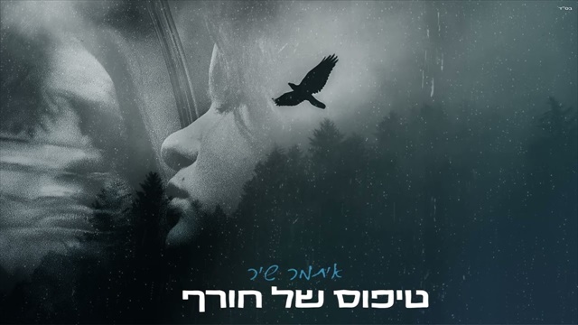 תמונה