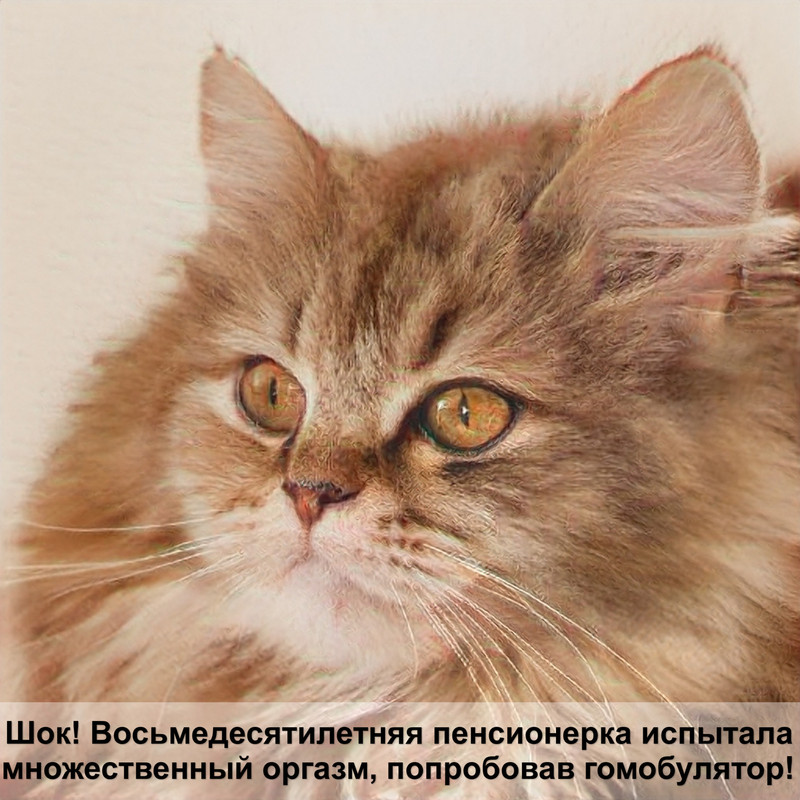 корм фармина отзывы