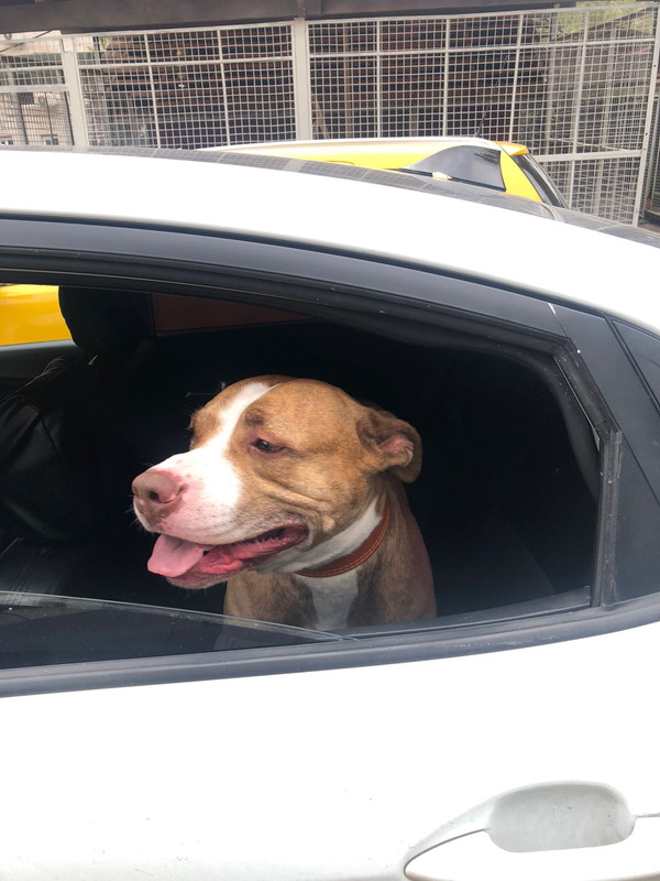 8E828188-E73D-4527-A792-95827CDDAA87