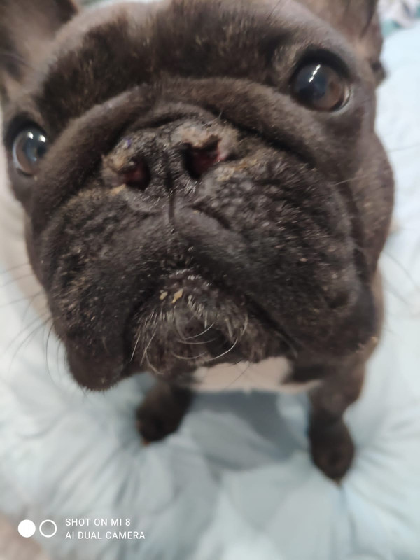 3885484E-FF4F-40E4-98D1-4F444D09F613