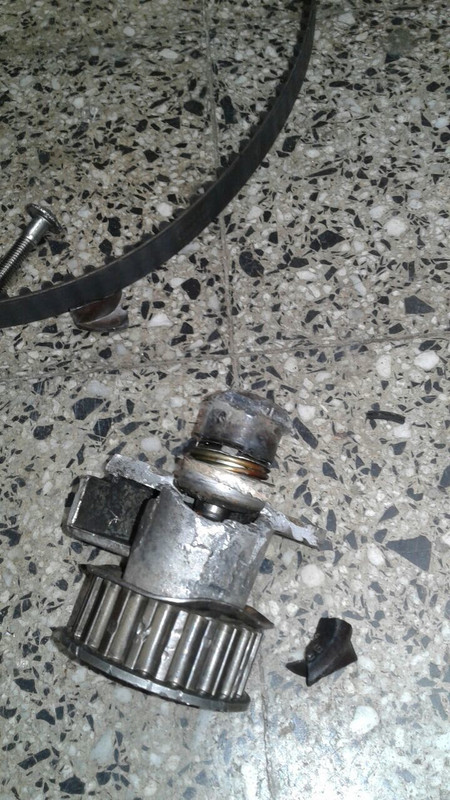 WhatsApp Image 2016-08-04 at 13.15.37