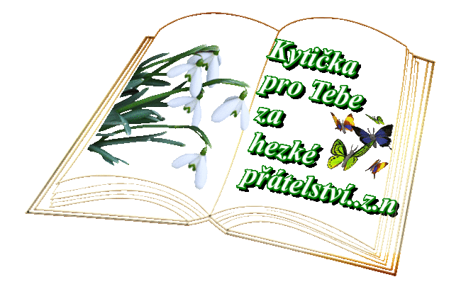 pratelstvi