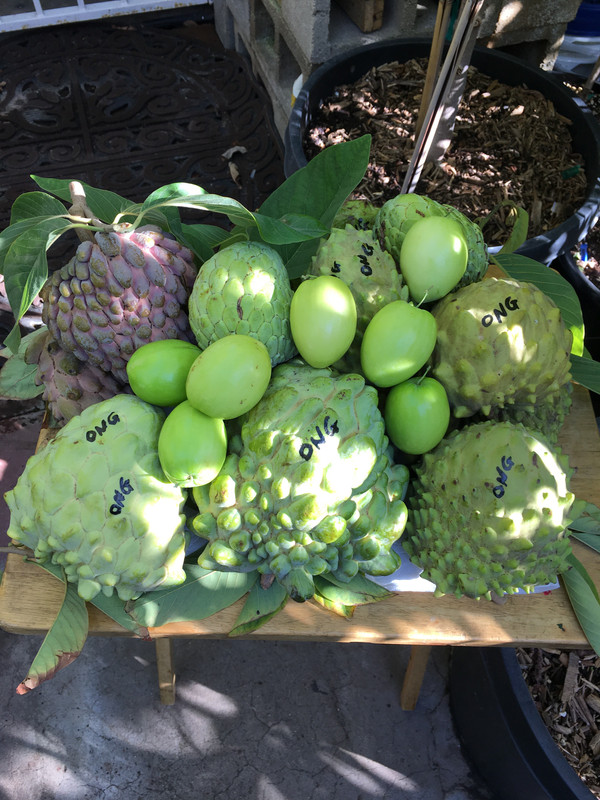 6EDE5F46-2AF2-4DF9-8A77-98F4A8FDAE4B