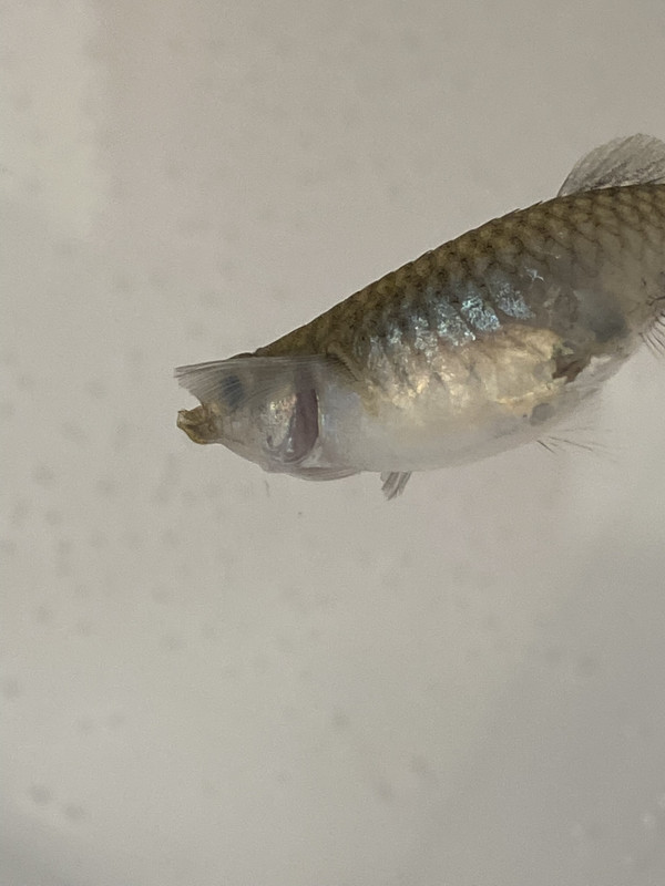 23D22A6E-757E-4D1F-A393-F631EFACA0C1