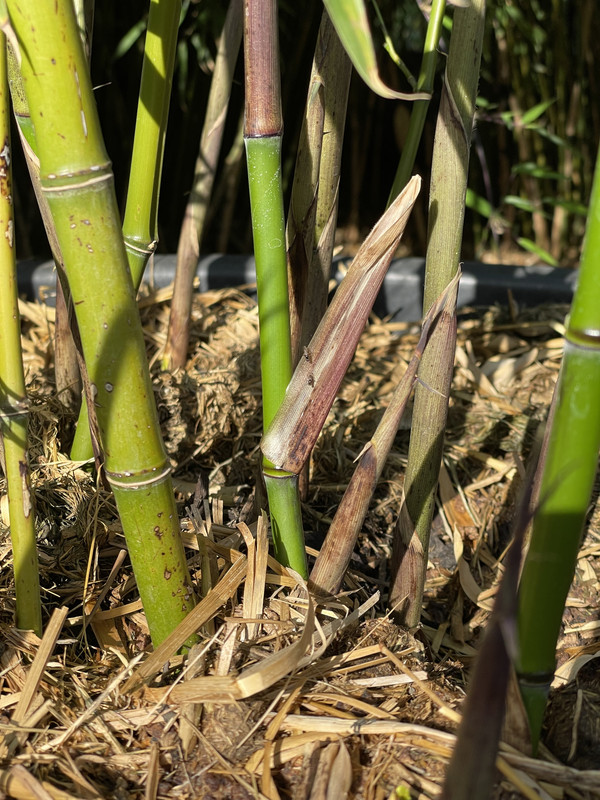 AB40F148-EA3F-4FA3-B0C5-438CCD303A77