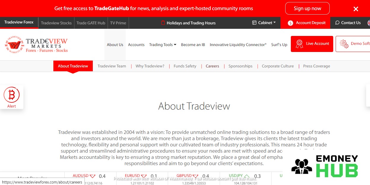 Изображение 1 - TradeView