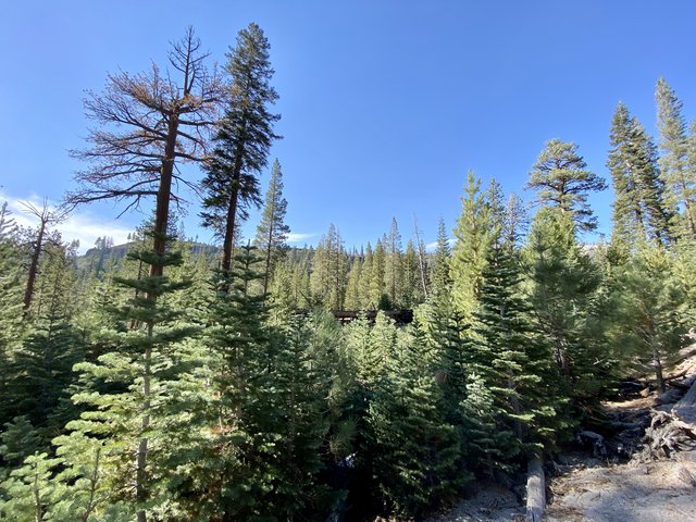 [Image: 5368-F072-440-B-4-C09-826-E-855-F2-B461525.jpg]