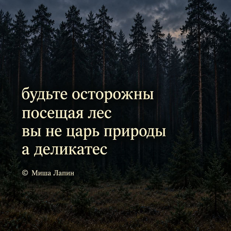 FB IMG 1789630992664