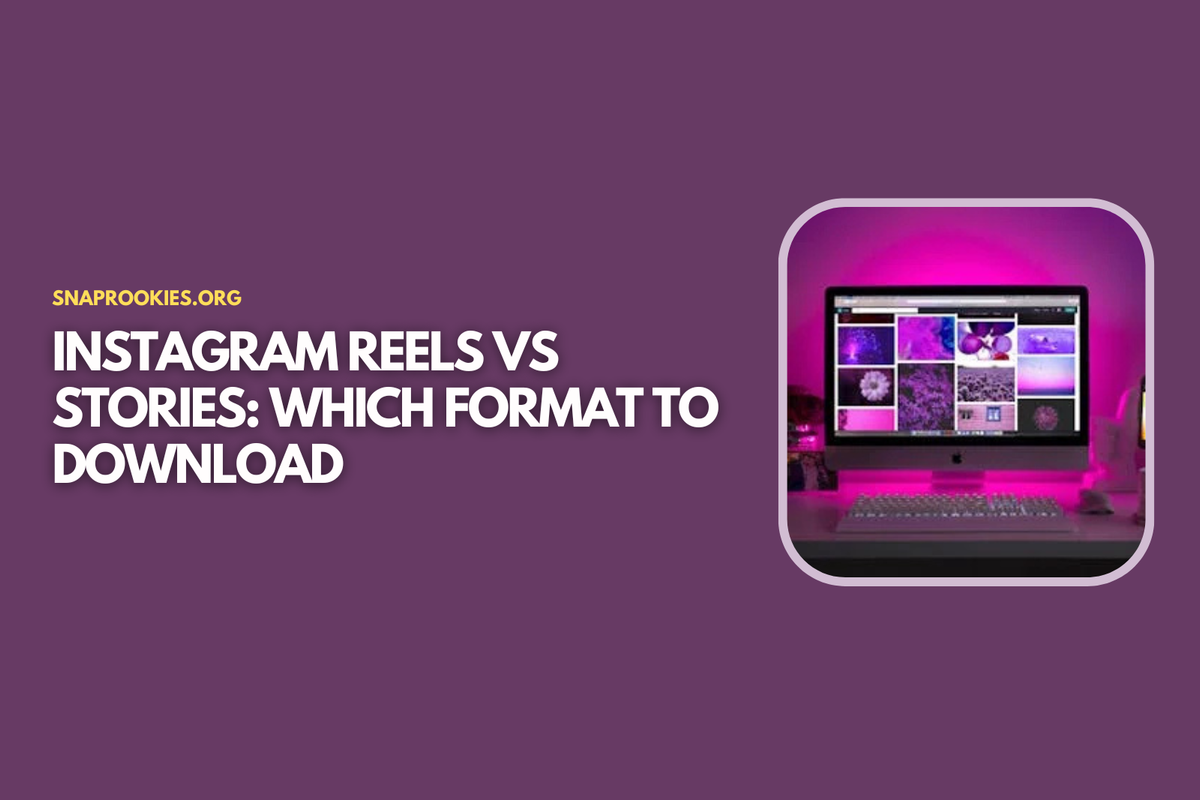 Instagram Reels vs Stories: Which Format to Download