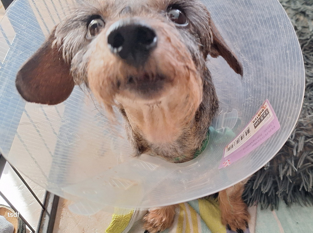 [Image: 20250301-105734.jpg]