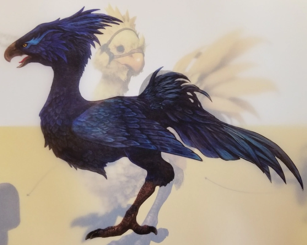 Black Chocobo