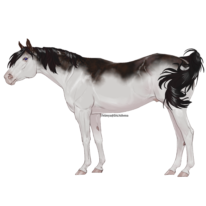 Untitled88-20250619204126.png