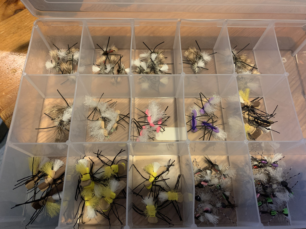 65210420084__F7ACA2AF-1679-44AA-A5D4-3BEFF85673C1