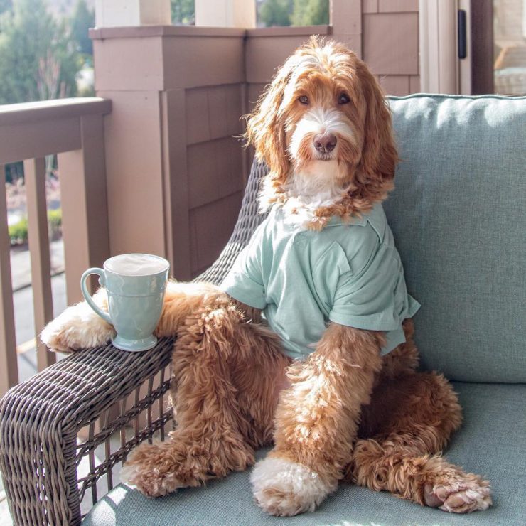 Sprudge-Coffee-On-Instagram-Reagandoodle-Anna-Brones-1516023-1556140.jpg