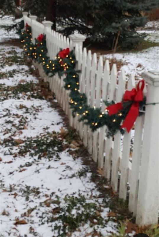 Screenshot_20231211_172541_Pinterest