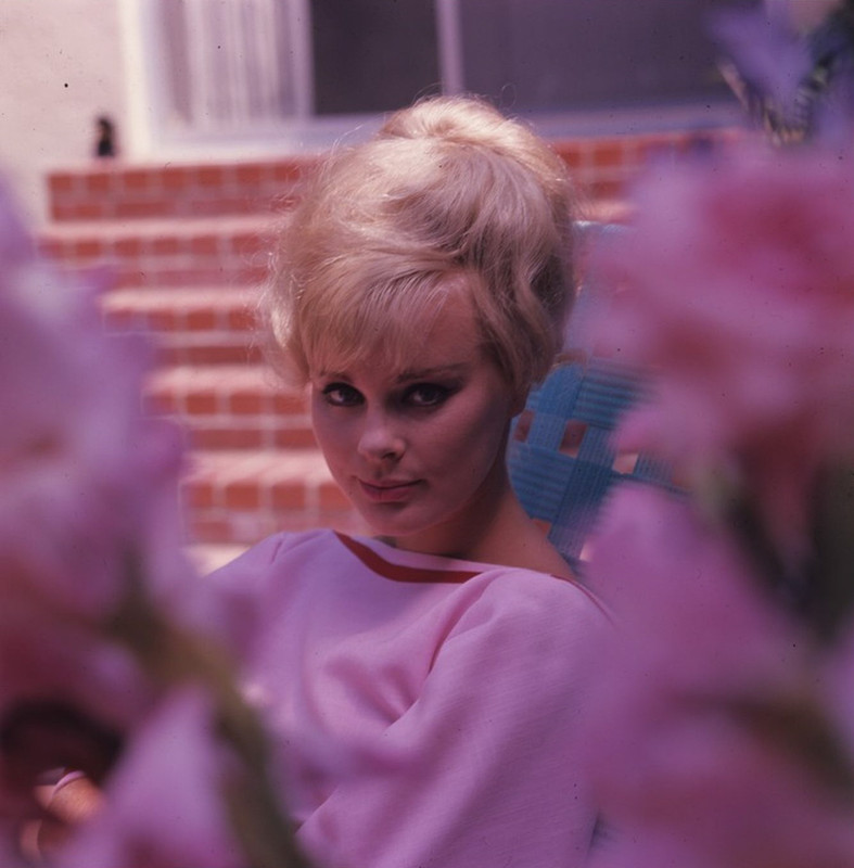 elke_sommer_me82