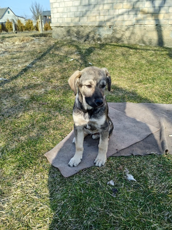 IMG 29aacb4a70f38ad9d2dbea53a3ffb15c V