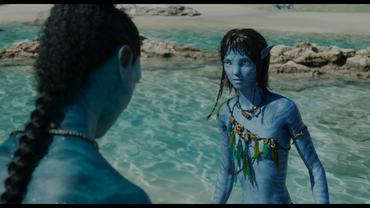 Avatar.The.Way.of.Water.2022.UHD.BDRemux.4K.HDR.DV.HEVC_Hurtom.mkv_20240118_225129.739