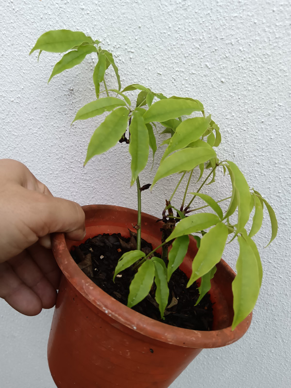 IMG 20260512 170423