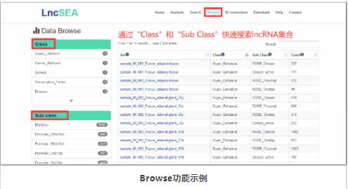 lncRNA注释和富集分析-5.png