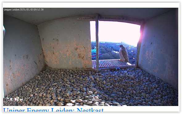 Screen Shot 01-03-25 at 09.47 AM