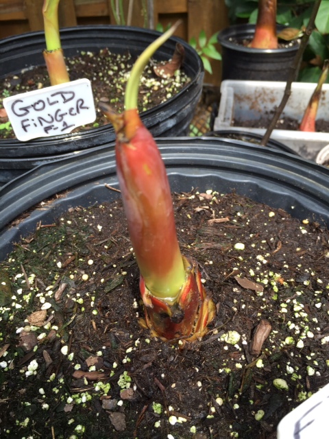 d24b28c8b5a5151698eecaf64afc327b